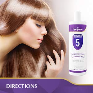 Big 5 Hair Stimulating Shampoo for Hair Thinning & Breakage, for All Hair Types, Men and Women, Infused With Biotin, Caffeine, Argan Oil, Castor oil and Saw Palmetto (Purple)