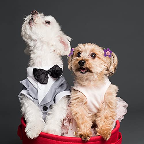 50 Pcs Elastic Hair Ties for Girls Cute Flower Toddler Hair Ties Multicolor Candy Baby Girls Scrunchies Soft Seamless Ponytail Holders Rubber Bands Sold by Zifengcer