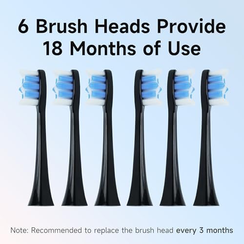 PERECT Sonic Electric Toothbrush for Adults, 6 Brush Heads, 5 Modes Electric Toothbrush, Travel Rechargeable Power Toothbrush with Smart Timer & Soft Picks, IPX7 Waterproof, Black