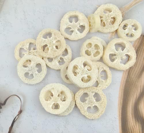 50Pcs Natural Loofah Slice of 1.96inch, Reusable Natural Loofah Cuts for Cleaner Sponge Scrubber, Facial Soap Holder and DIY Customize Soap Tools, with 3Pcs Exfoliating Loofah Pad and 1 Storage Bag