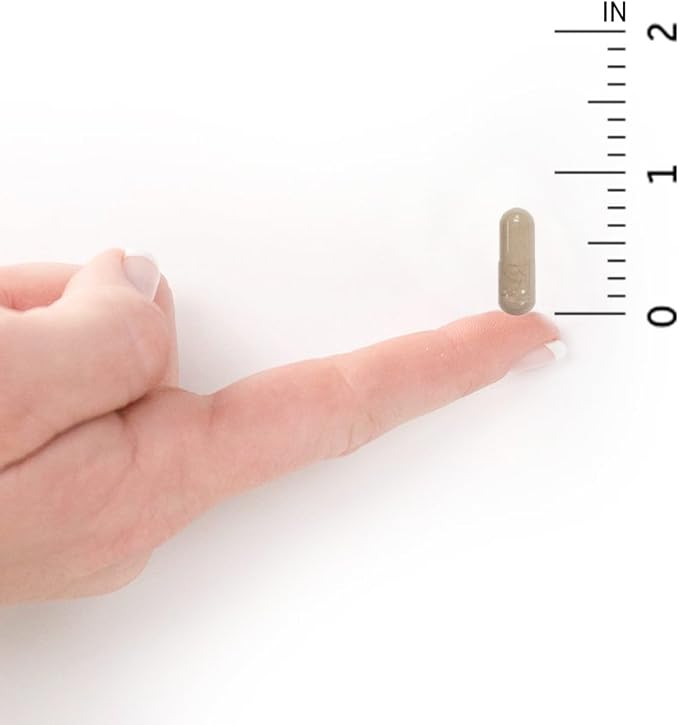 Garden of Life Multivitamin for Women, Vitamin Code Raw One for Women, Once Daily, Whole Food Iron, Probiotics for Womens Health, Gluten Free Vegetarian, 30 Count