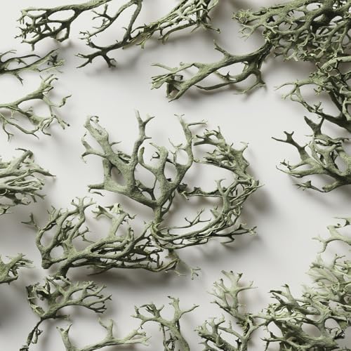 RALPH LAUREN The Big Pony Collection