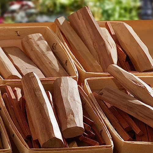 DKNY Be Delicious Eau de Toilette Mini Perfume Spray For Women, 0.5 Fl. Oz.