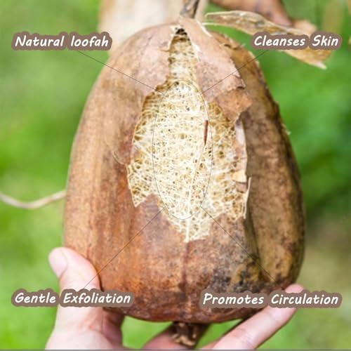 Natural Loofah and Sponge Set, Back Scrubber for Shower with Soap Bag. Body Exfoliating Loofah Sponge for Women and Men, 3-pcs