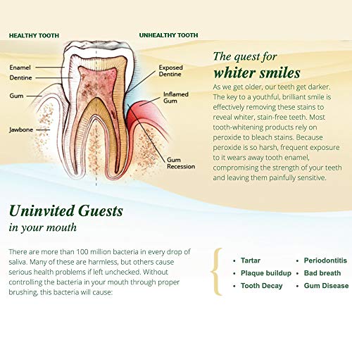 Melaleuca Whitening Tooth Polish Paste without Fluoride 3.8oz — Fresh Mint