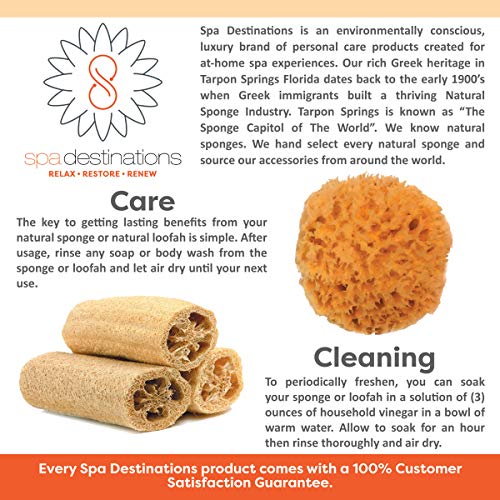 Natural Sea Sponge 6-7" by Spa Destinations Creating The at-Home Spa Experience