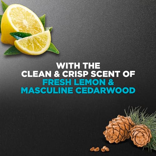 DOVE MEN + CARE Shower Tool for Stronger Skin - Active Clean Scrubs and Exfoliates, 4 Pack & Body & Face Wash