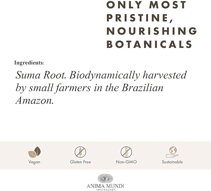 Anima Mundi Apothecary Suma Brazilian Ginseng Root Powder - Superfood Energy Support - Energizing Herbal Supplement Powder - Add to Smoothies, Tea, Coffee & More (4oz / 113g)