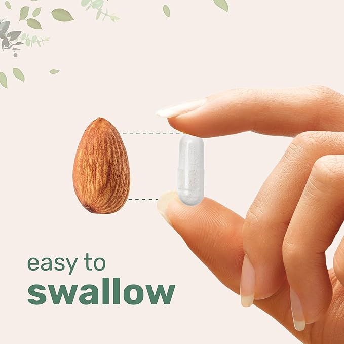 Pure Methylated B Complex for Women & Men | 240 Capsules with High Absorption Vitamin C | 11-in-1 with Vitamins B12, Thiamin, Folate + Inositol, Choline & More | Only Active Ingredients | Filler Free