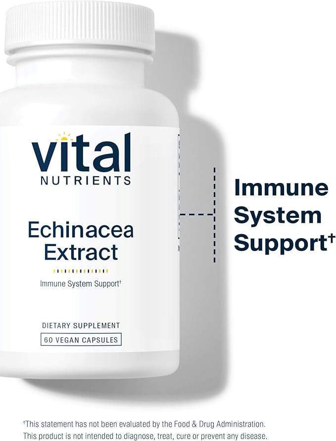 Vital Nutrients Echinacea Extract 1000mg | Vegan Echinacea Immune Support Supplement | Gluten, Dairy, Soy Free | Non-GMO | 60 Capsules