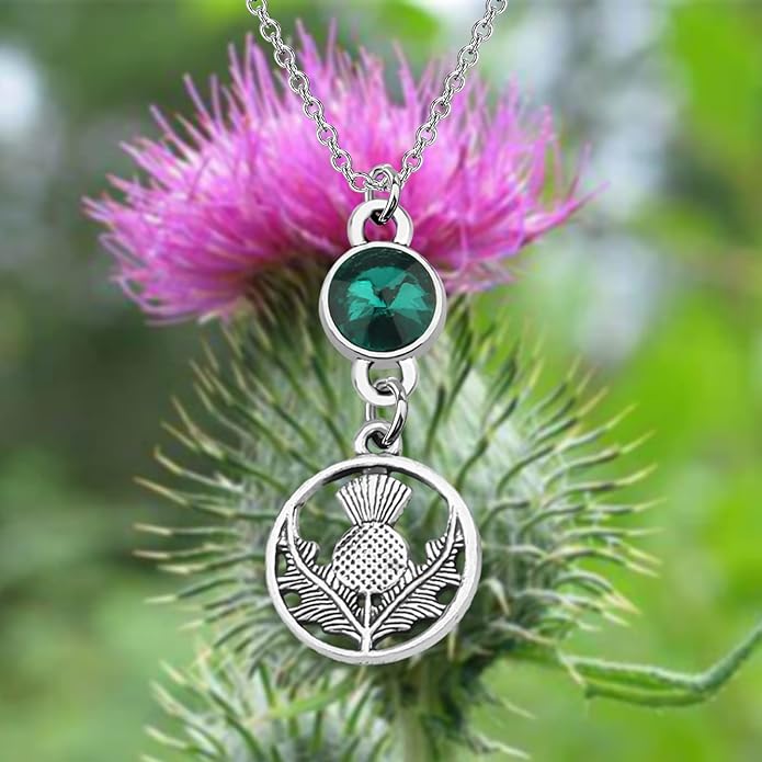 WSNANG Scottish Thistle Necklace Scottish Gifts for Women Thistle Pendant Necklace Scottish Blessing Jewelry