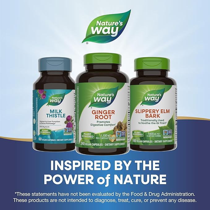 Nature's Way Ginger Root, Promotes Digestive Comfort*, Reduces Motion-Related Nausea*, 1,100 mg Per 2-capsule Serving, Non-GMO Project Verified, Vegan, 240 Capsules