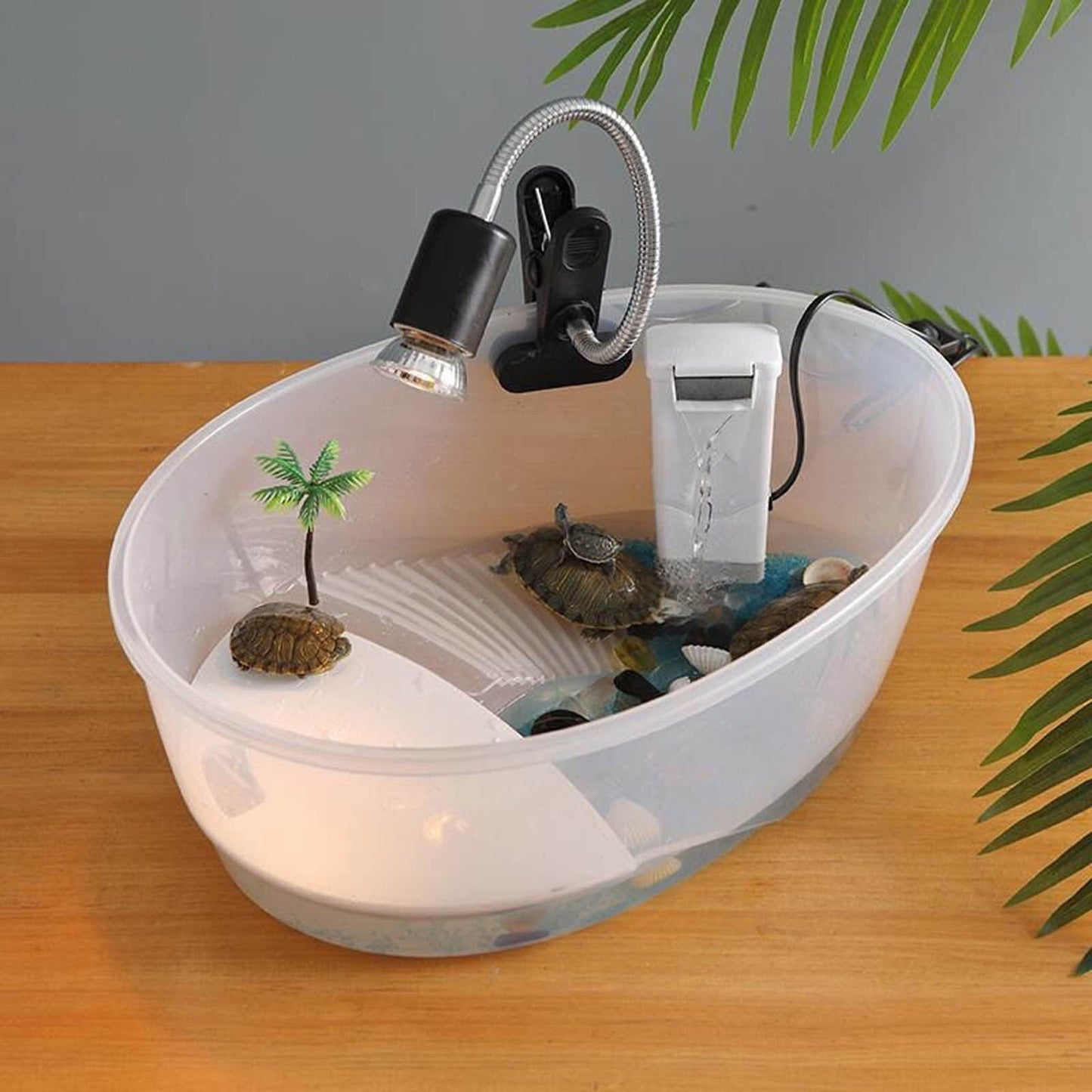 Plastic Turtle Terrarium, Basking Platform,Swimming Area, Semi-Closed Ventilated Lid, 25x17cm, Smooth Surface, Easy Clean, Small Reptile Tank