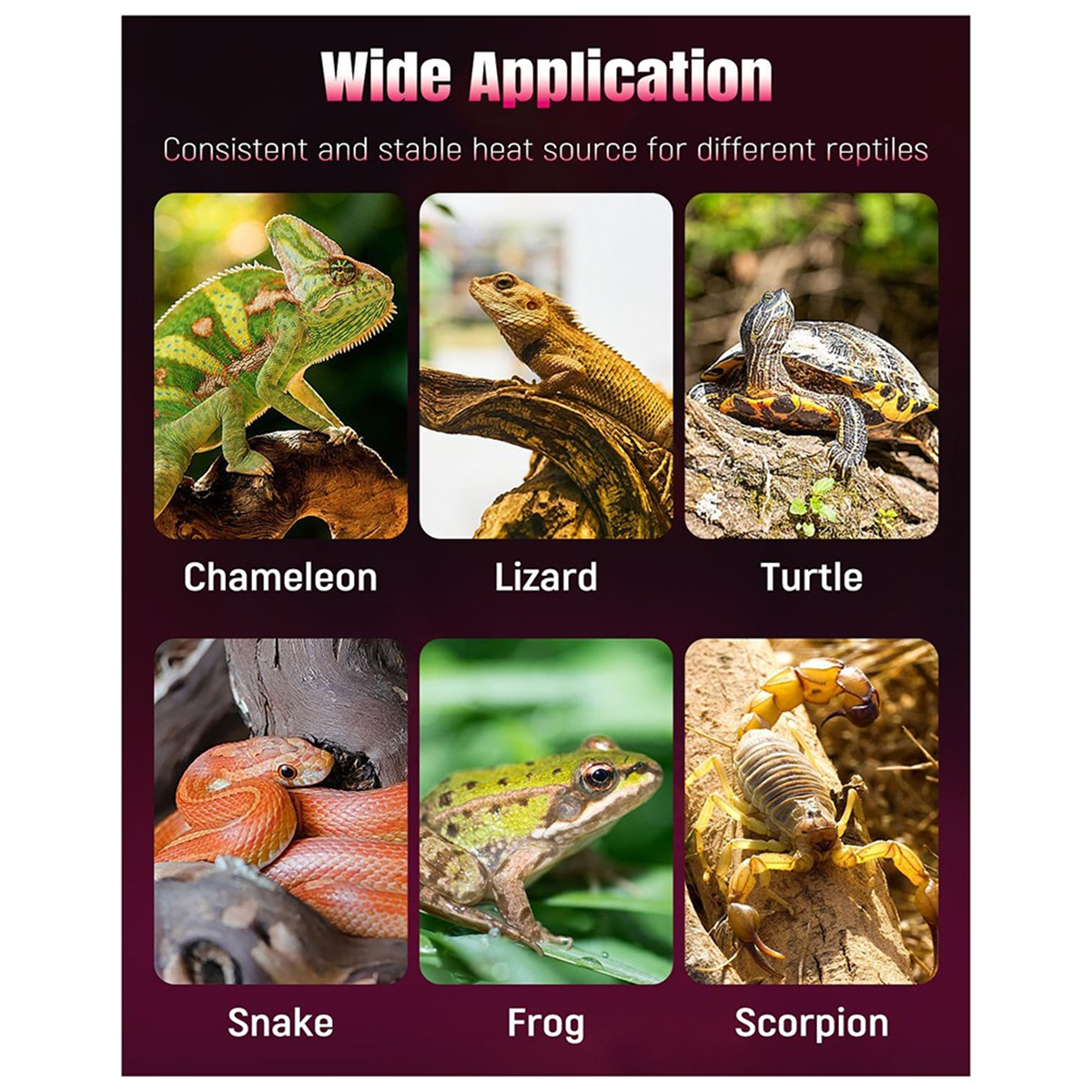 28W Reptile Heating Pad Reptile Heating Pad Under Tank Safe Fast Heating Pad for Frogs Snakes Lizards Geckos US Plug