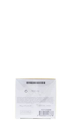 JADORE by Christian Dior EAU DE PARFUM SPRAY 3.4 oz / 100 ml for Women