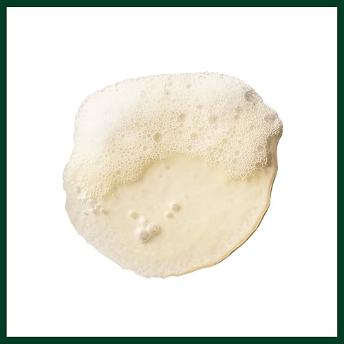 Aveda Sun Care Hair & Body Cleanser | Removes Chlorine and Salt | with Coconut Oil | for All Hair Types, 8.5 Fl Oz