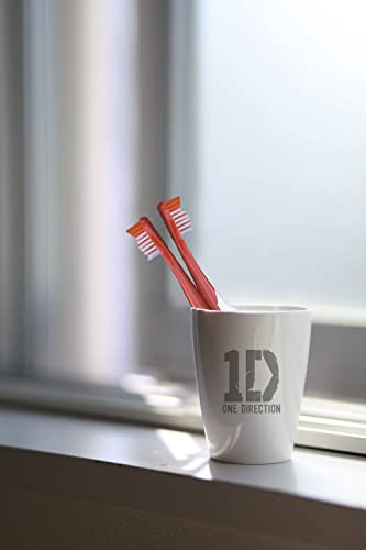 B. Designs One Direction Singing Tooth Brush (Live While we’re Young)/Limited Edition
