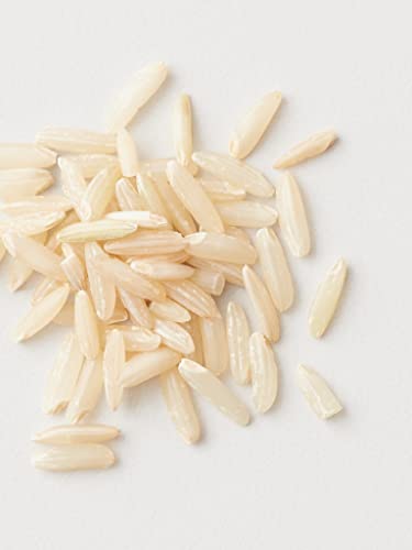 AG Care Curl Fresh Hydrating Shampoo with Pea & Rice Amino Acids - Curl Shampoo to Cleanse Scalp and Retain Moisture for Healthy, Defined Curls, 12 Fl Oz Bottle