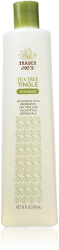 Trader Joe's Tea Tree Tingle Shampoo with Peppermint, Tea Tree and Eucalyptus Botanicals, 16-Ounces