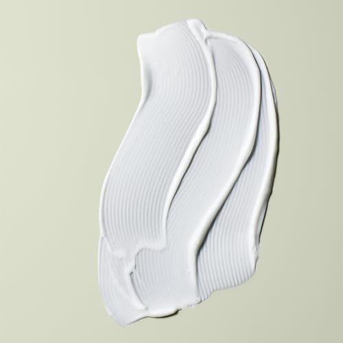 DevaCurl Heaven in Hair Moisturizing Deep Conditioner | Rinses Clean Without Build Up| Encourages Curl Shape and Definition | Reduces Frizz