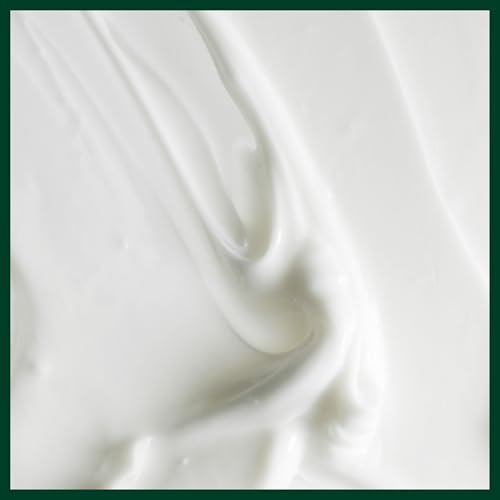 Aveda Scalp Solutions Replenishing Conditioner | Hydrates Hair & Scalp | for All Hair Types | Babassu & Moringa Oil | 98% Naturally Derived*, 6.7 Fl Oz