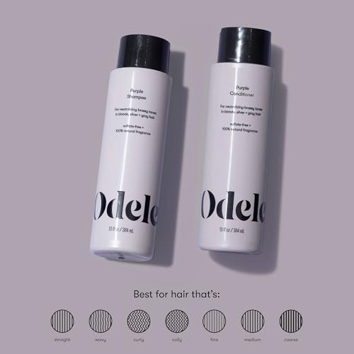Sulfate-Free Purple Shampoo & Conditioner Set for Neutralizing Brassy Tones in Blonde, Silver + Gray Hair, 13 Fl Oz Each (2-Pack)