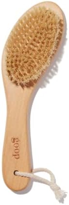 goop Beauty Dry Brush | Detoxifying Body Exfoliator | Wooden Handle with Natural Biodegradable Sisal Fibers | Sweeps Away Dead Skin | FSC Certified