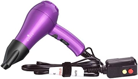 Mini Lightweight Hair Dryer for Pour Painting & RV Compact Travel Blow Dryer for Kids 1000W Ionic Dryer with Concentrator, Cool Shot Button