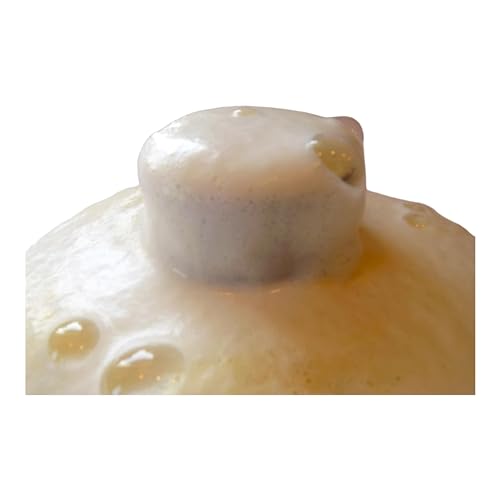 Fizzy Powders/Bath Bombs Powder (Viva La Juicy)