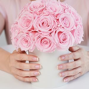 Perfect Formula Glass Nail File (Set of 2) - Crystal Nail Files with Case - High Quality, Professional Czech Glass Nail File