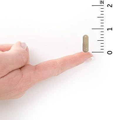 Garden of Life Vitamin Code 50 & Wiser Men Raw Whole Food Multivitamin, Vitamins for Men Over 50 for Prostate Health, Healthy Heart, Blood Pressure, 240 Vegetarian Capsules *Packaging May Vary*