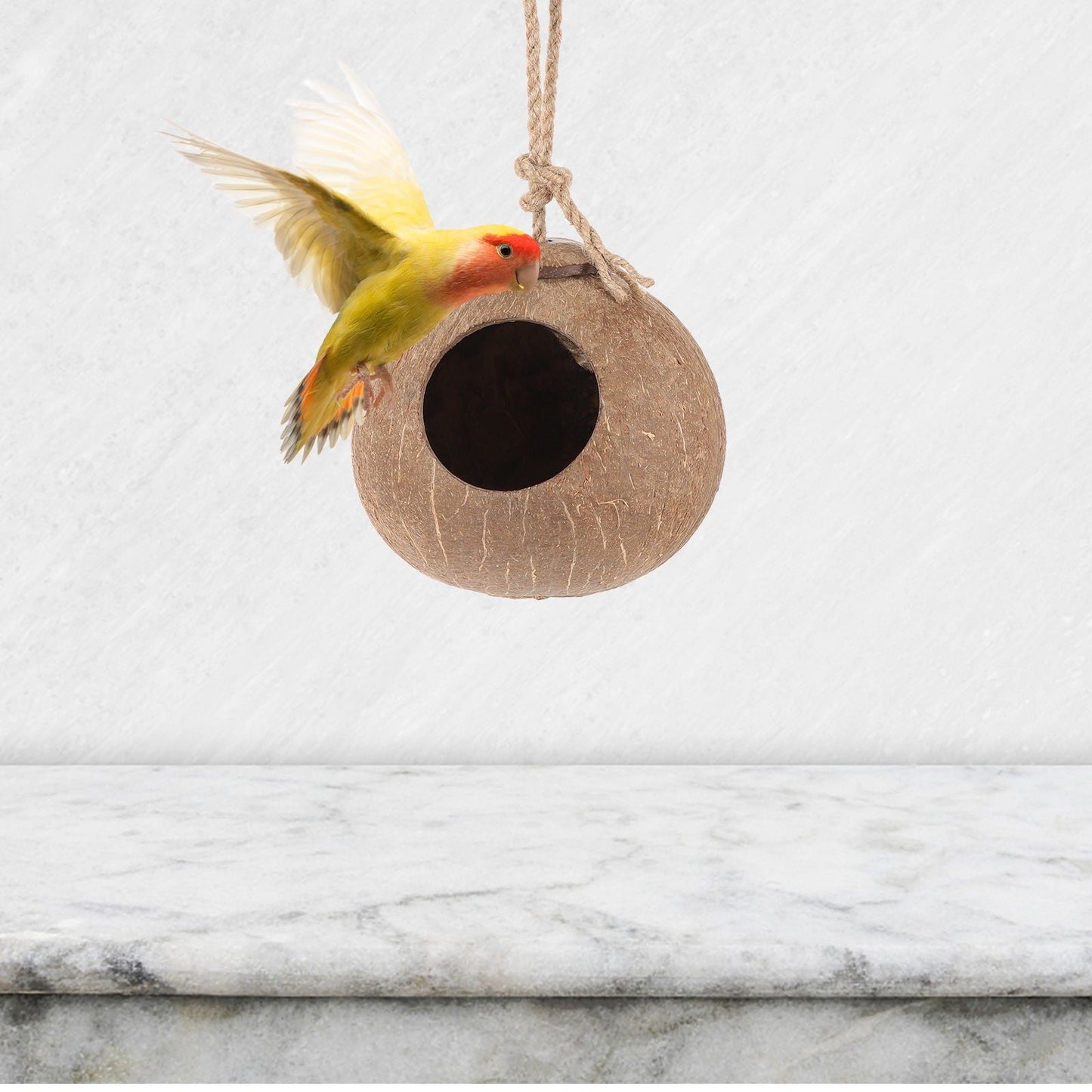 UNOMOR hanging nest for small bird Parrot Swing Bed Coconut Shell Exercise Tool Outdoor Use 1Pcs