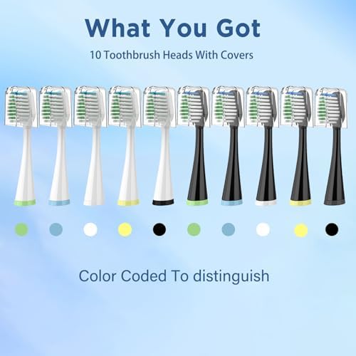 Replacement Toothbrush Heads for AquaSonic Duo Series, 5 White & 5 Black Brush Heads with Covers