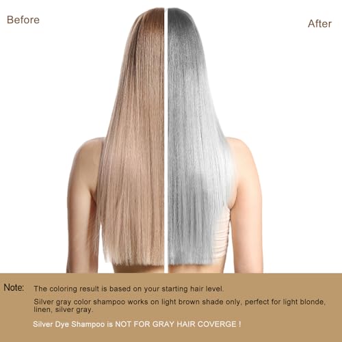 Silver Gray Hair Dye, Hair Dye Shampoo 3 in 1, Silver Hair Shampoo, Hair Color Shampoo for Gray Hair, Champu Para Canas & Shampoo Para Canas Mujer