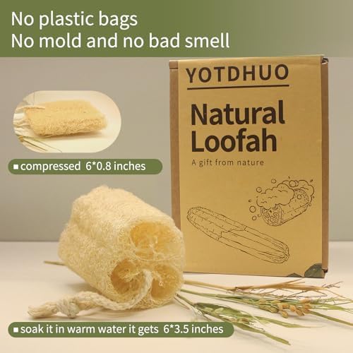 Natural loofah Sponges Exfoliating Body Scrubber(6" Family 6Pack),Real Luffa Unveil Your Skin's Natural Beauty