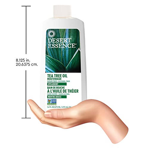 Desert Essence Tea Tree Oil Mouthwash - 16 Fl Ounce - Pack of 6 - Natural Refreshing - Spearmint Flavor - Helps Reduce Plaque Buildup - Refreshes Mouth & Gums - Vitamin C - Oral Care - No Parabens