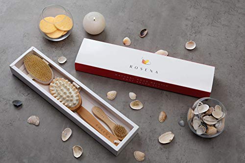 Dry Brushing Body Brush Set – Natural Bristle Spa Exfoliator Kit with Face Cleansing Brush, Long Dry Brushing Body Brush for Lymphatic Drainage & Massaging Cellulite Brush for Smooth, Radiant Skin