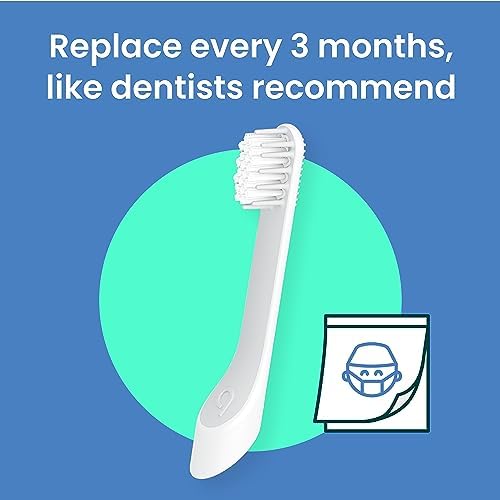 quip Sonic Toothbrush Replacement Heads for Kids - 3 Pack - Verified quip Small Brush Head Refills for Electric Toothbrushes - Soft Bristles, Compact & Flexible - Last 3 Months Each
