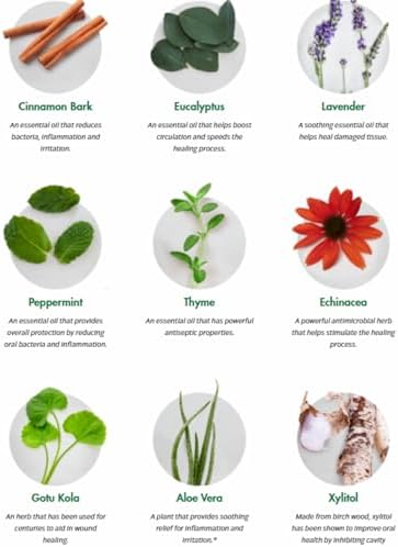 Dental Herb Company - Essentials Toothpaste - Truly Natural Fluoride-Free and SLS-Free - Superior Defense Against Bleeding and Irritated Gums, Dry Mouth, and Mouth sores. (4 oz.)