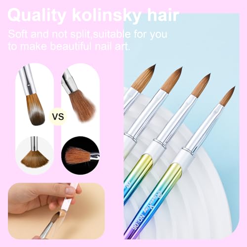 4PCS Kolinsky Nail Brush Set - 6/8/12/16. Oval Shaped Acrylic Powder Nail Design Tools for Professional Manicure DIY
