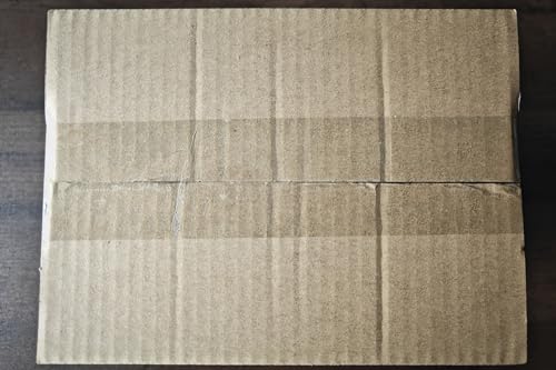 Major Dijit Acrylic Nail Kit with Nail Lamp, 0.35 oz White Clear Pink Black and More 12 Colors Acrylic Powder and Liquid Kit, Electric Nail Drill, Glitter, Nail Art Brushes,Nail Kit for Beginners