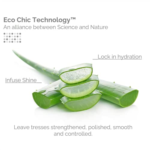 GIOVANNI HAIR CARE PRODUCTS Giovanni Smooth as Silk Deeper Moisture Shampoo & Conditioner Set, 24 Oz. Calms Frizz, Detangles, Wash & Go, Co Wash, No Parabens, Color Safe, 24 fluid_ounces