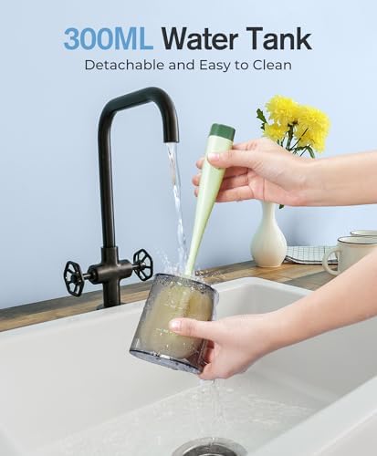 Demita Cordless Water Flosser for Teeth, 300ML 3 Modes 5 Jet Tips Portable Electric Flosser Pick for Adults, IPX7 Waterproof Oral Irrigator Cleaning Kit for, Gums, Braces Care(Black)