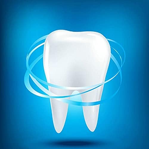 Dental Floss Picks 500 Count，Floss Sticks,Refill Bagged Flosser Toothpicks,High Elasticity,Unflavored,Re-Seal The Flossing Bag Suitable for Daily Cleaning of Teeth.