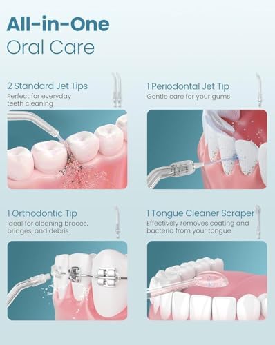 Onlyone Water Dental Flosser, 300ML Portable Oral Irrigator for Teeth, 4 Modes and 5 Jet Tips,Rechargeable Irrigation Cleaner,Electric Flossing Machine Power Flossers & Irrigator Accessories Black