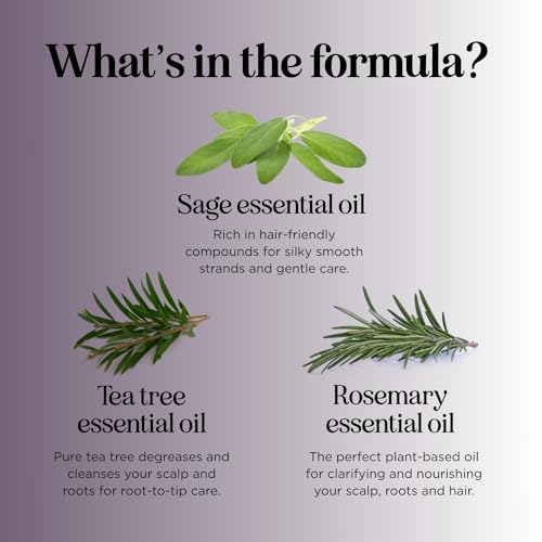 Sage and Rosemary Shampoo Sulfate Free - Ultra Clarifying Shampoo for Build Up and Dry Scalp Treatment with Cleansing Essential Oils for Hair - Sulfate Free Shampoo for All Hair Types with Sage Oil