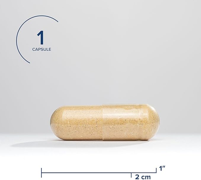 Seeking Health | Liver Nutrients | 60 Vegetarian Capsules | Milk Thistle, NAC & TMG Supplement | Liver Detox Cleanse