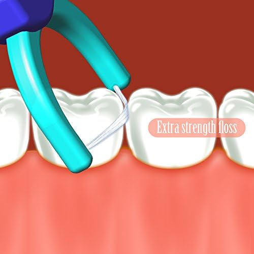 T.Smile Evolutionary Clean Dental Flossers, Kit of Refills Plus Long Handle (3 Handles + 100 Refills)