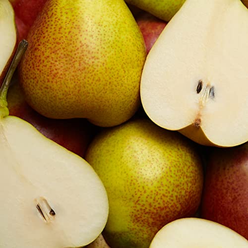 Escada Especially Eau De Parfum – Women's Floral Perfume – With Notes of Rose Petals & Pear – Long Lasting Fragrance