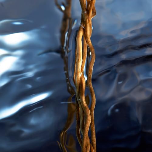 Davidoff Cool Water Reborn Eau de Toilette – Woody Men's Cologne – With Notes of Rosemary, Galbanum & Vetiver – Long Lasting Fragrance